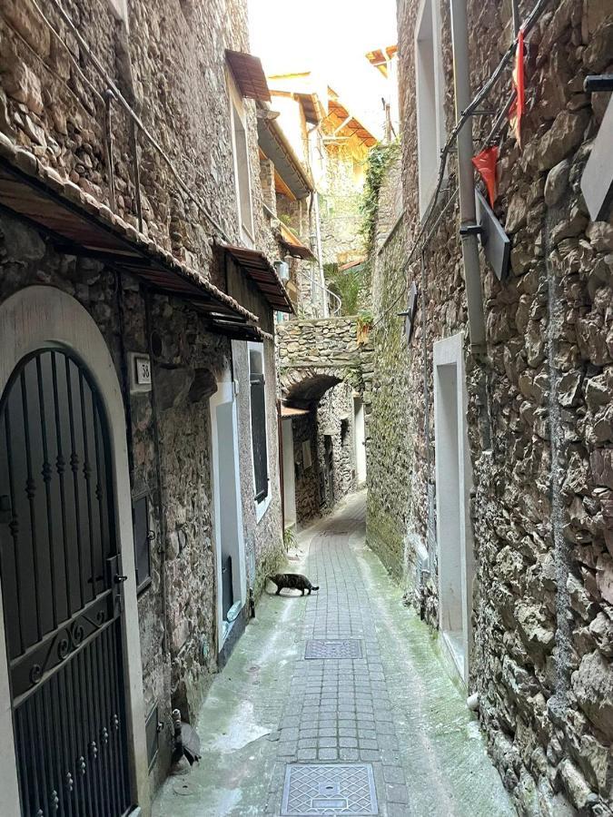 Casa Venezia In Airole, Liguria, Italy别墅 外观 照片